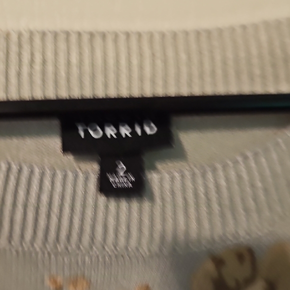 Torrid Light Gray Sweater with Cream Floral Accents - Picture 7 of 7
